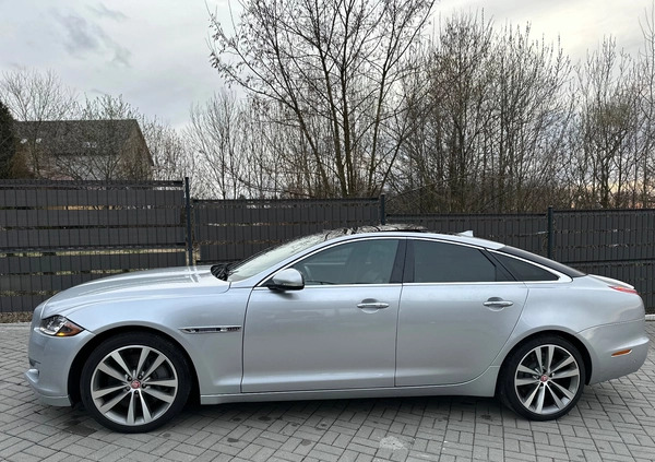 Jaguar XJ cena 125999 przebieg: 69900, rok produkcji 2015 z Aleksandrów Kujawski małe 211